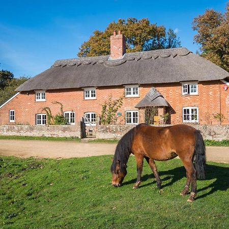 Thatched Cottageブロッケンハースト エクステリア 写真