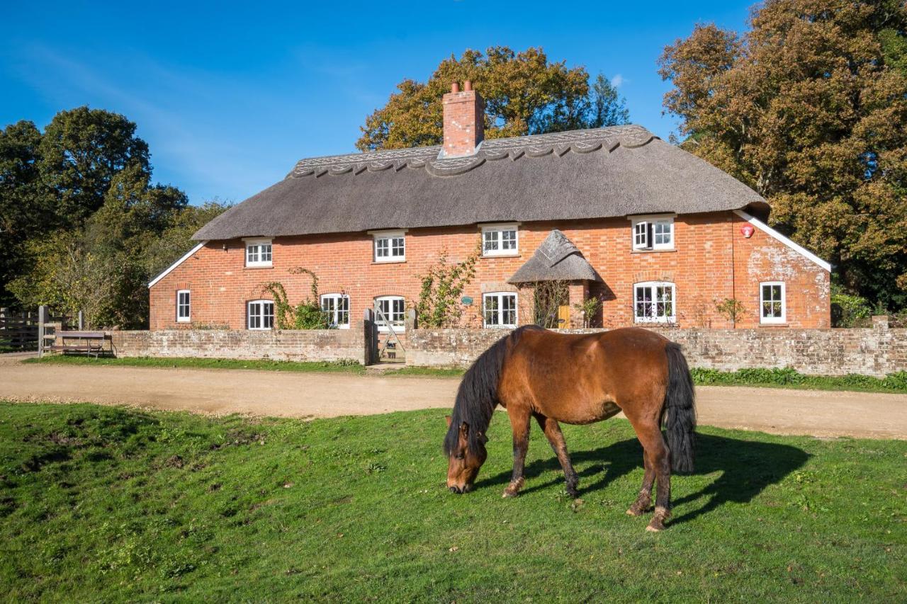 Thatched Cottageブロッケンハースト エクステリア 写真