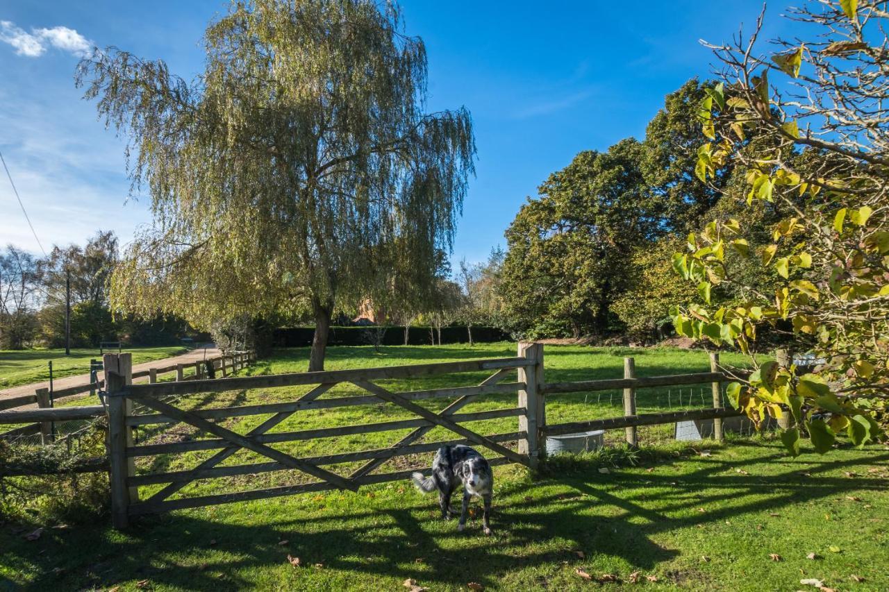 Thatched Cottageブロッケンハースト エクステリア 写真